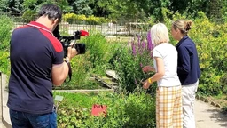 Еко перспективе: Зелена Европа, Парис II део (R)