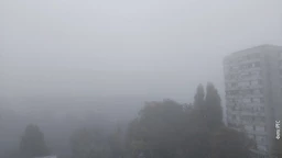 На три воде: Јутарњи програм из три студија