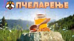 Eko minijature: Pčelarenje - šta znamo o medu