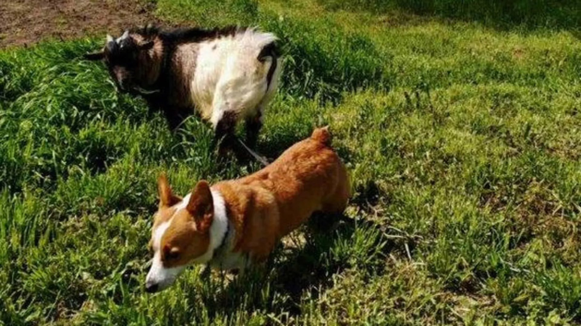 Ekologeri: Tamo gde sreća stanuje