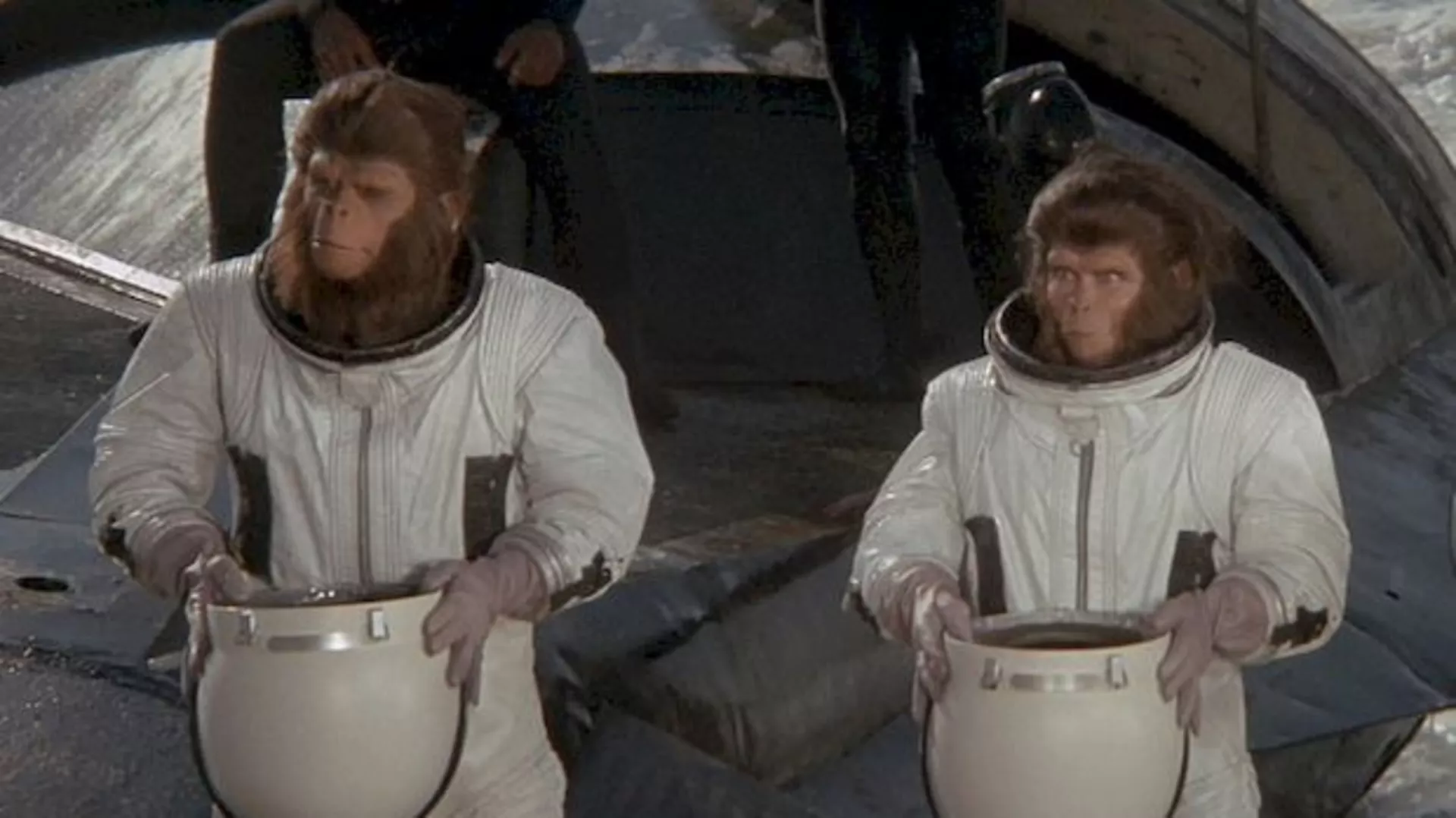Bekstvo sa planete majmuna, film
