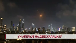 Dnevnik