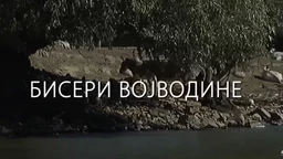 Nauka u selu: Biseri Vojvodine (R)