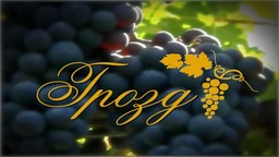 Grozd: Nova vinska priča