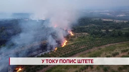 Dnevnik
