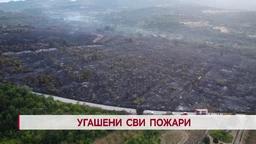 Dnevnik