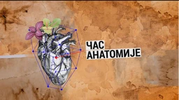 Čas anatomije: Kulturna javnost