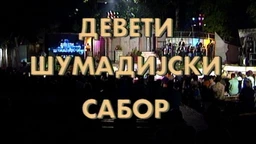 9. Šumadijski sabor