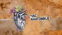 Čas anatomije: Da li je knjizi potrebna reklama (R)