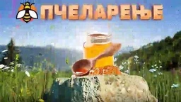 Еко минијатуре: Пчеларење - апитерапија и здравствена култура