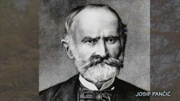 Istorija nauke:	Josif Pančić