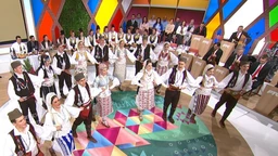 Музичка шареница