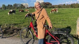 Vozom po zelenoj Evropi: Luven