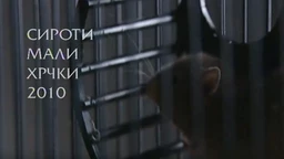 Сироти мали хрчки 2010, 1. део