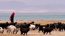 Кров света, 4. емисија (R)