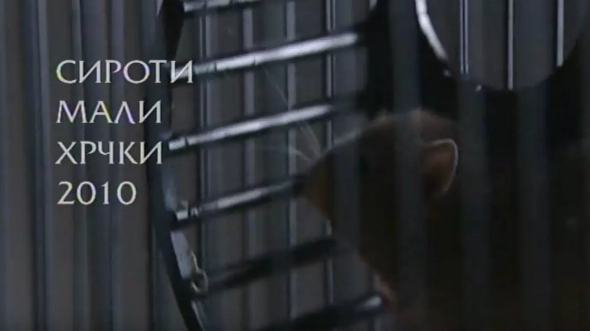 Сироти мали хрчки 2010, 1. део (R)