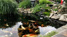 Екологери: Суботичка зен башта