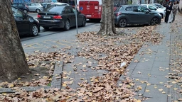 Novi dan: Jutarnji vikend program