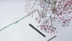 Dogodilo se na današnji dan: 22. novembar