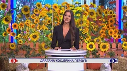 Ја волим Србију