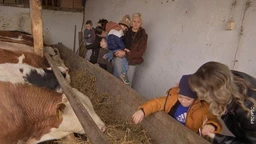 Инклузија: Приче малих хероја (R)