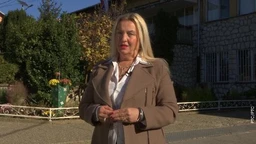 Инклузија: Савине пчелице (R)