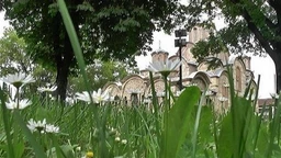 На три воде: Јутарњи програм из три студија