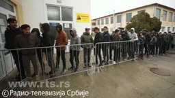 Ухвати дан: Међународни дан миграната