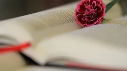 Пут у речи                         : Слушајте „Пут у речи" и размишљајте о језику