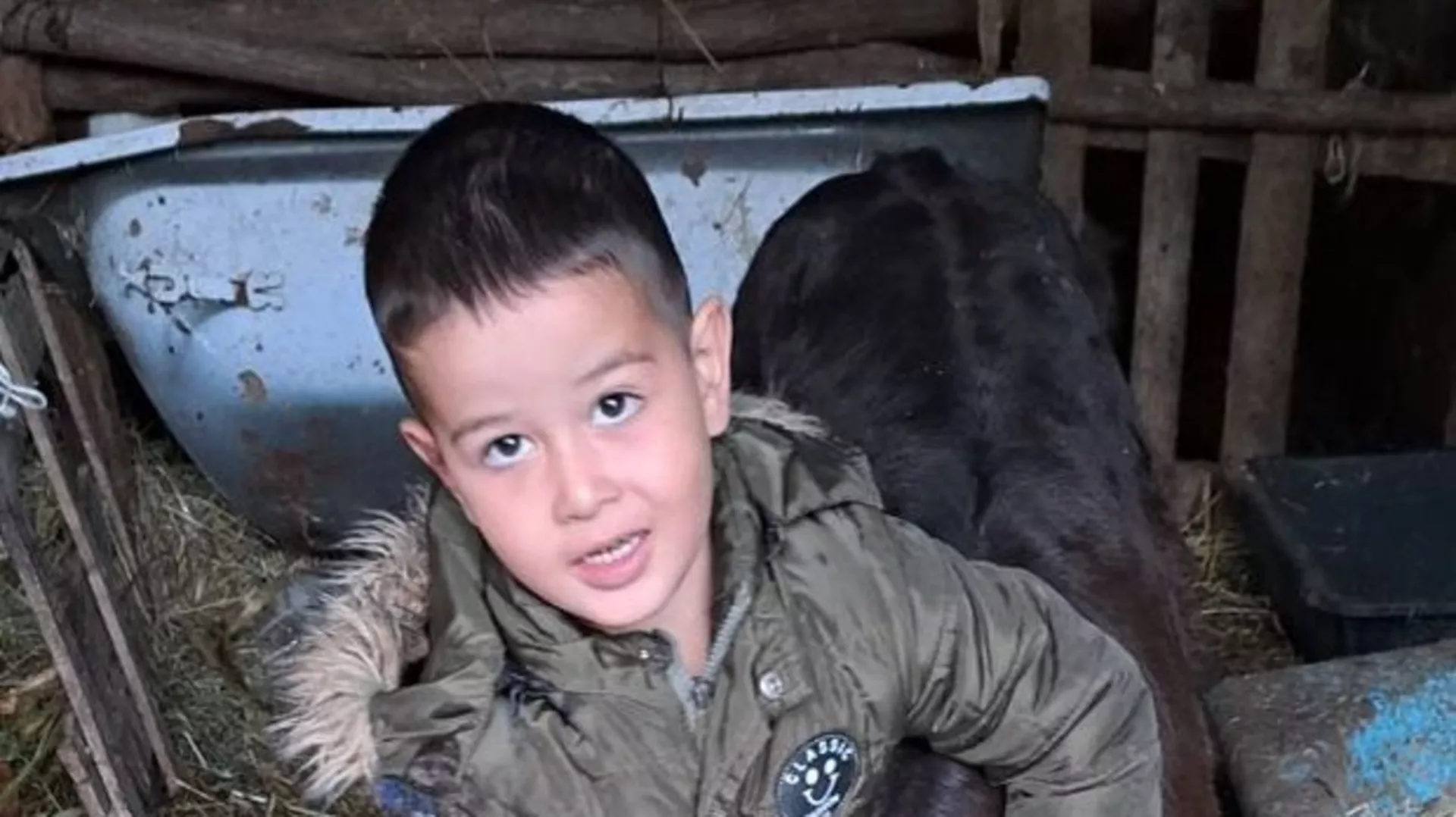 Квадратура круга: Мали велики људи - Дикићи