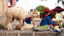 Музика света – Божићни и новогодишњи пројекат Еурорадија (1)