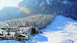 Дионис: Сања Вулетић