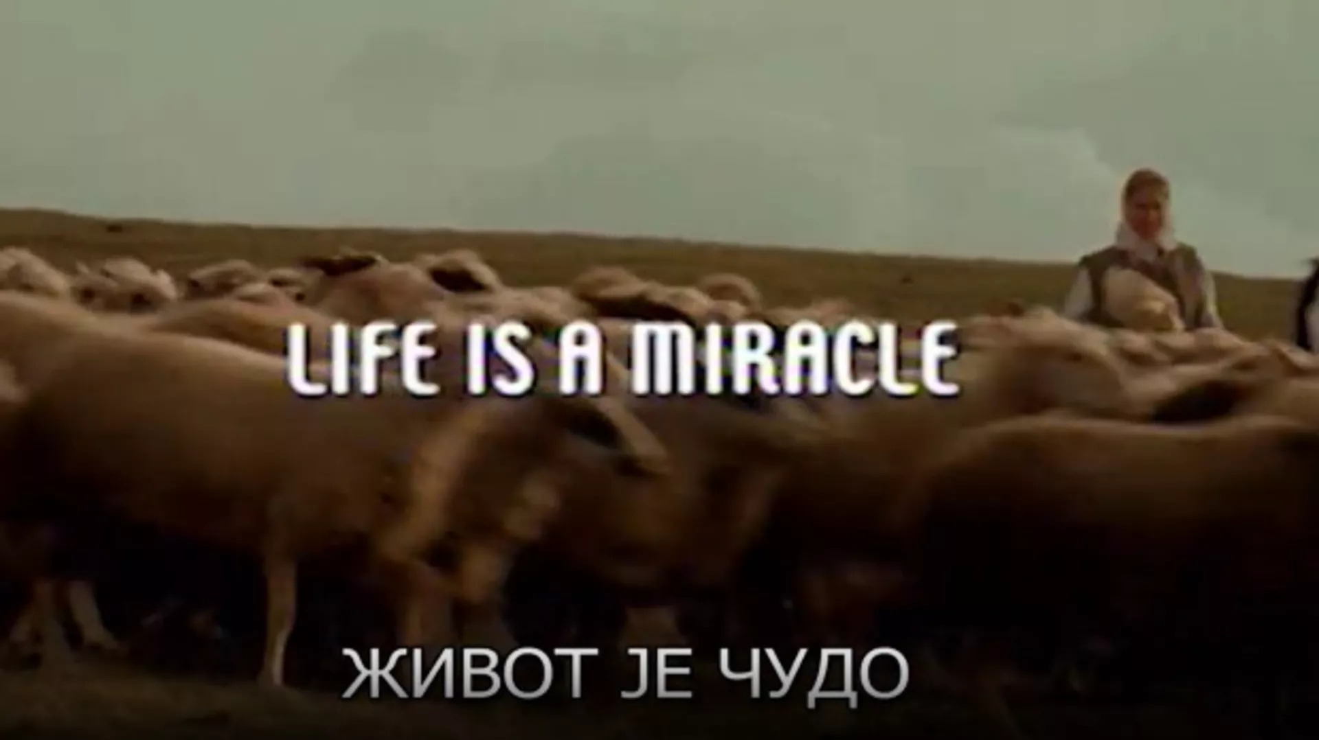 Живот је чудо, филм