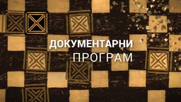 Сечањ међу нама године 1991. и 1995.