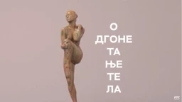 Odgonetanje tela: U oku umetnika (R)