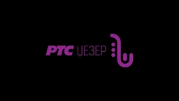 РТС Џезер, Скице за портрет – Душан Видак, р.