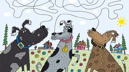 Вести – Како јавља Политикин забавник 59