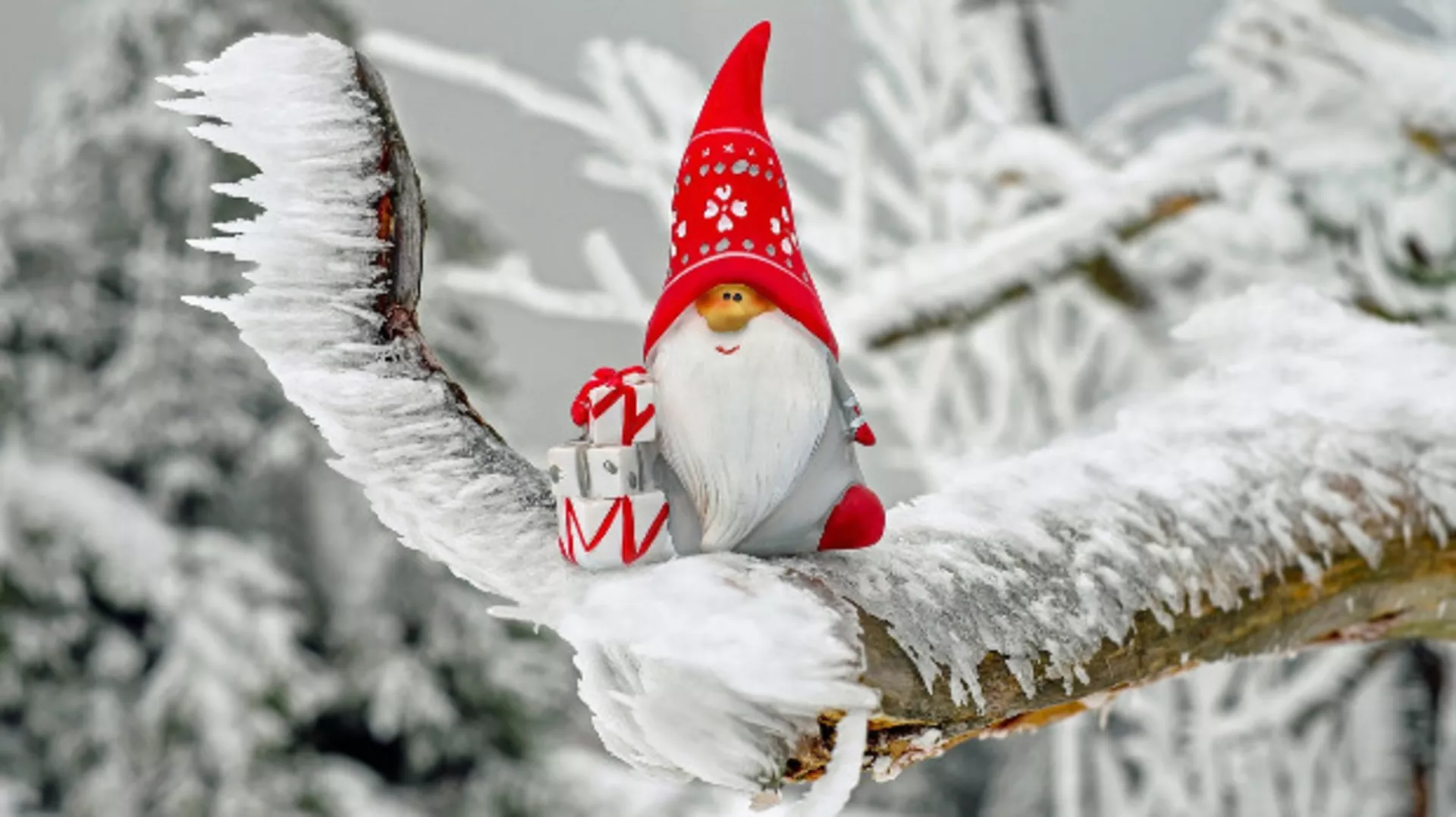 Зимско кулирање