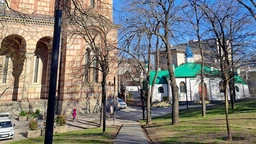 Govori da bih te video: Kako je obnovljeno Bogojavljensko plivanje u Srbiji