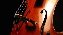 Autogram: Koncert inspirisan cvećem zla