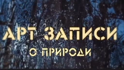Арт записи о природи, 2. ем. (R)