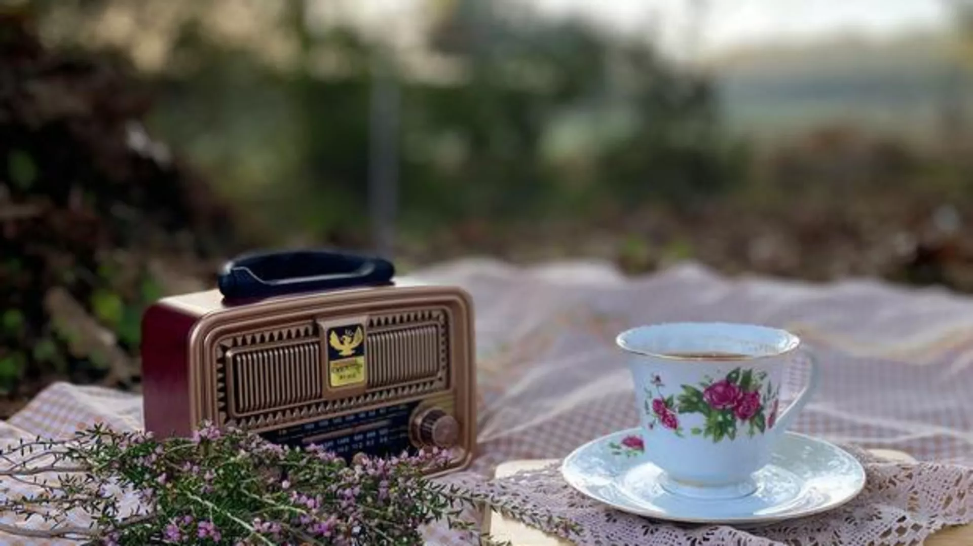 Novi dan: Jutarnji vikend program