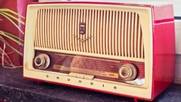 Евергрин азбука – Adamo