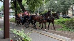 Еко перспективе: Зелени бисери Србије: Сомбор, 1. део