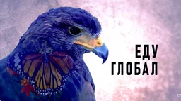 Edu global, 279 ep. (R)