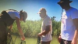 Еко перспективе: Експеримент Цверглан, други део (R)