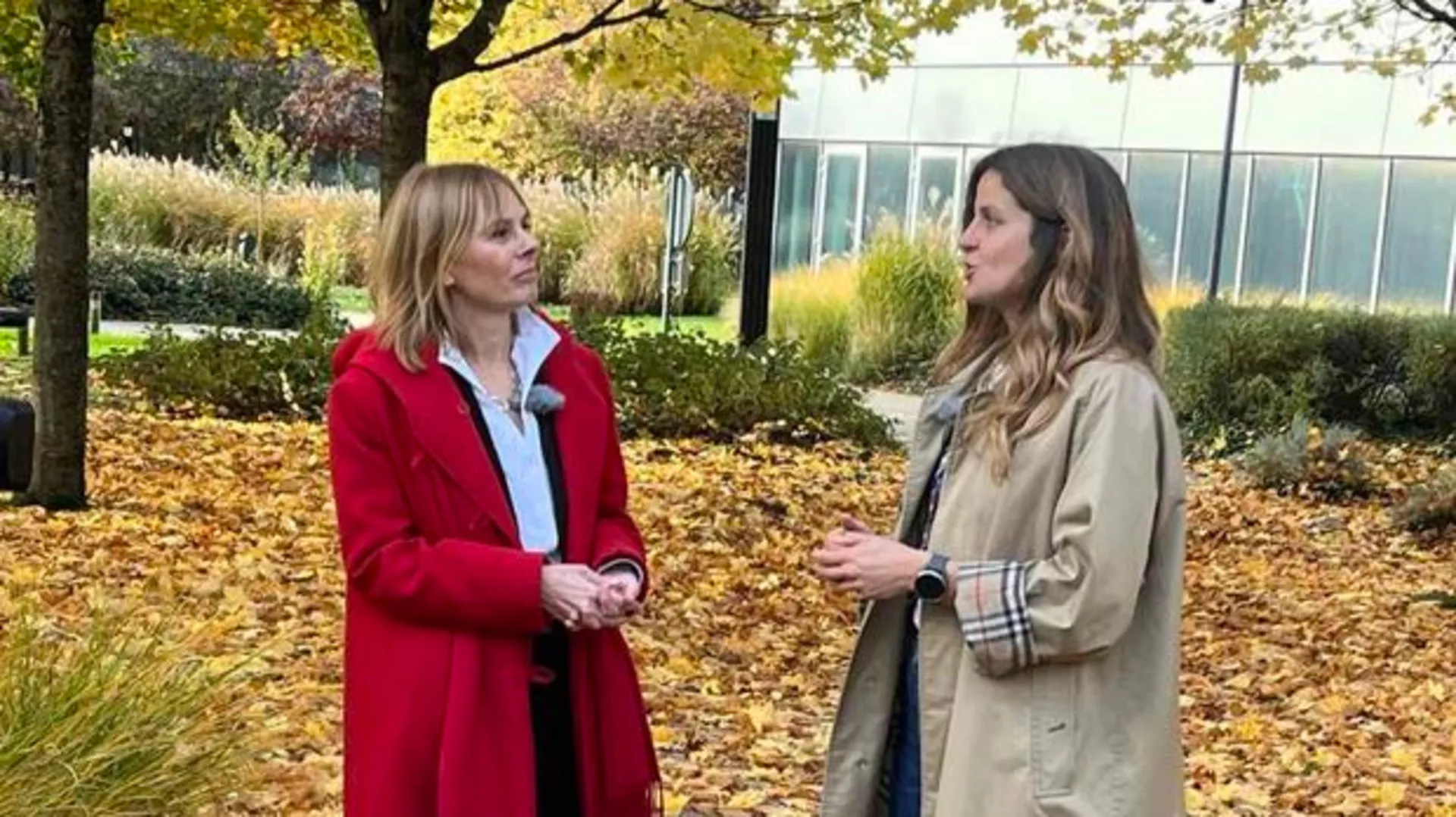 Водич кроз будућност: Неуроморфно квантно рачунарство