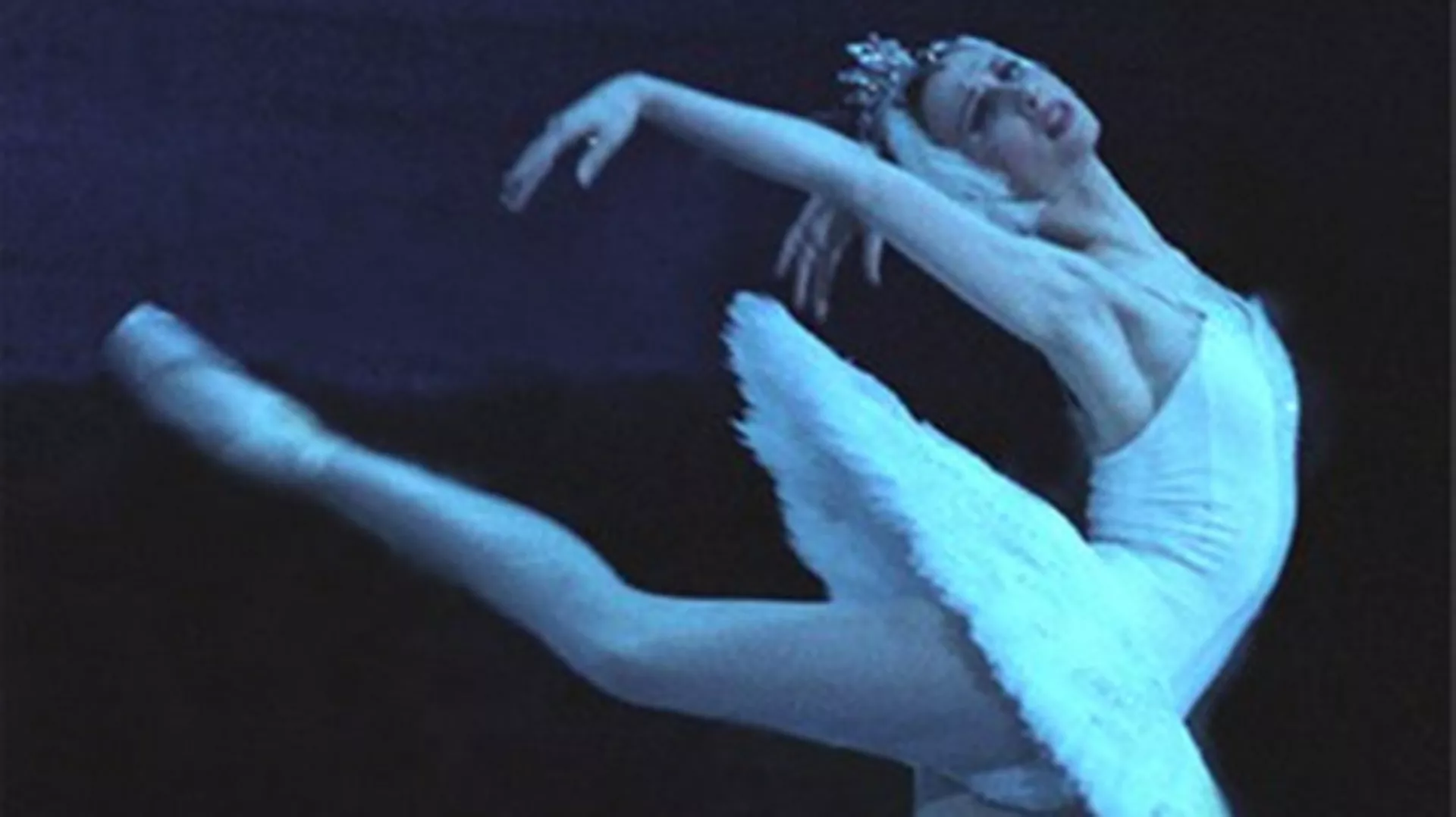 Светлана Захарова и пријатељи, 1. део  (R)