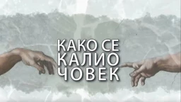 Како се калио човек: Биљана Крстић (R)