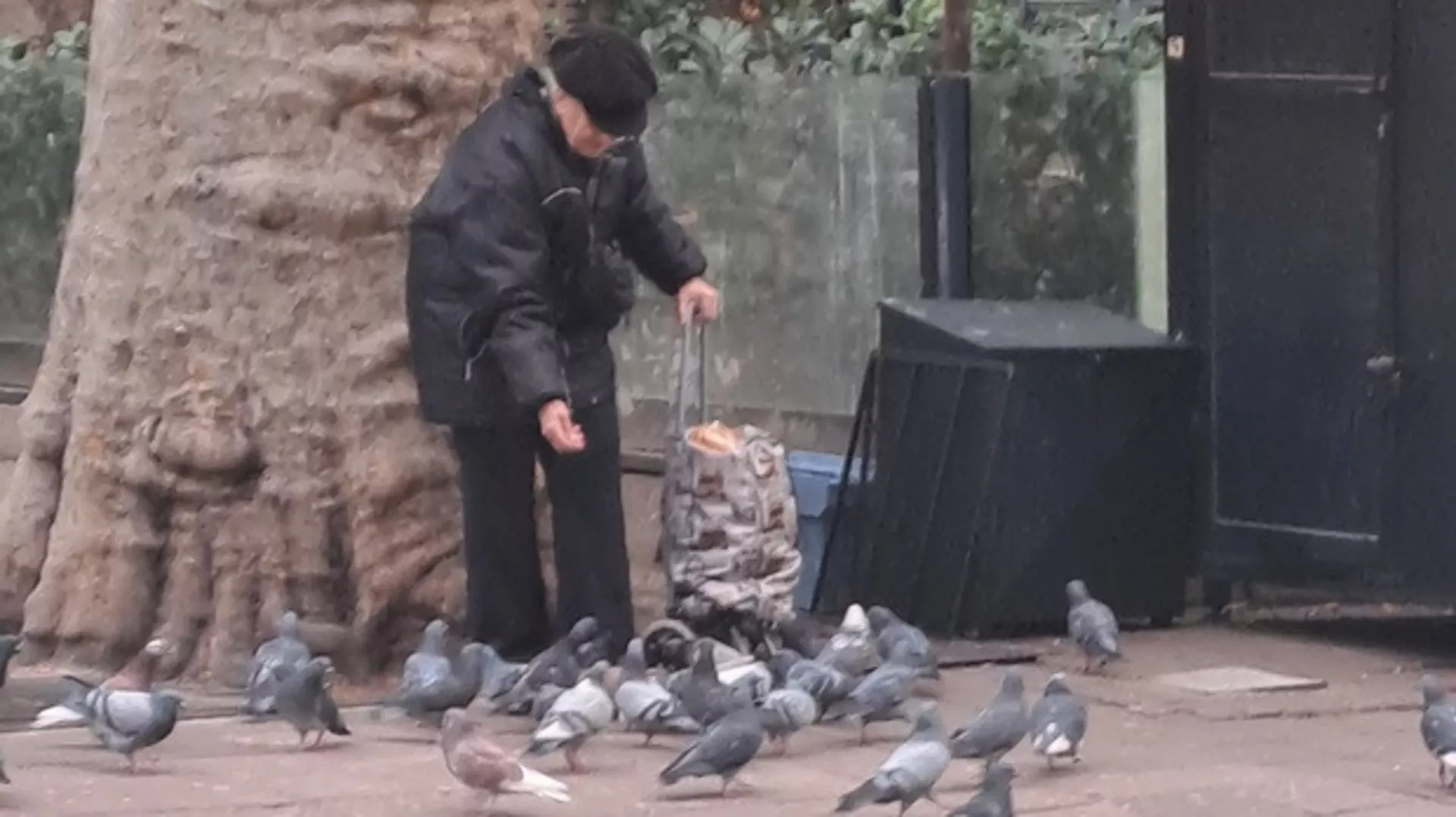 Нови дан: Јутарњи викенд програм